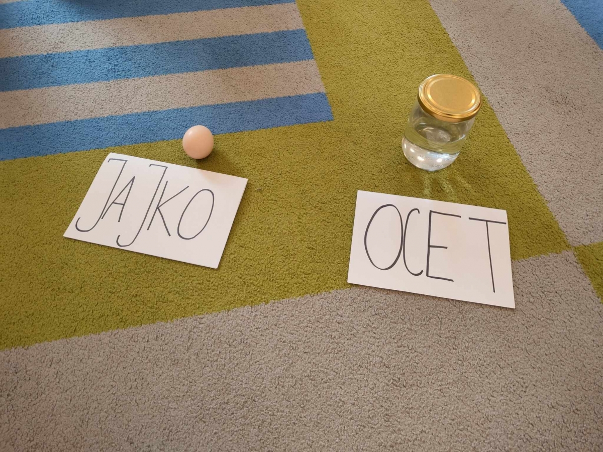 Eksperyment z jajkiem